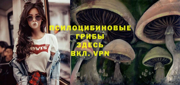 марки nbome Новозыбков