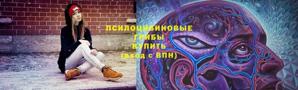 альфа пвп Новодвинск