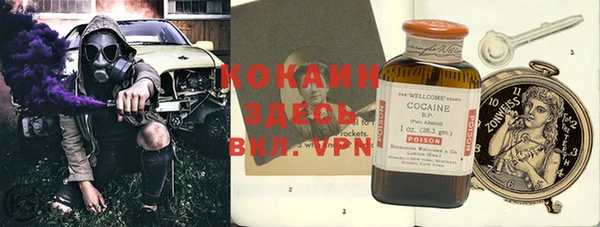 альфа пвп Новодвинск