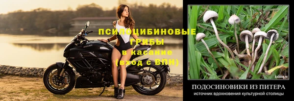марки nbome Новозыбков