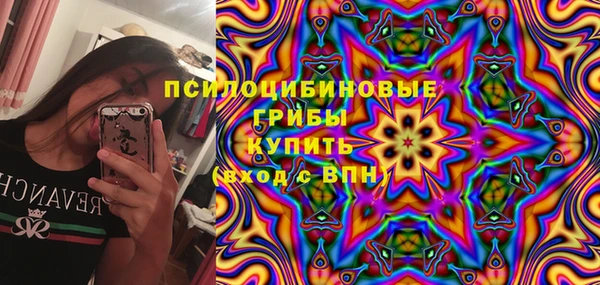 альфа пвп Новодвинск