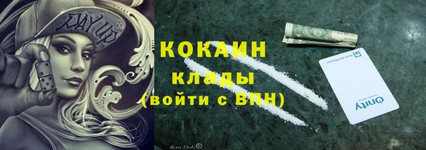 альфа пвп Новодвинск